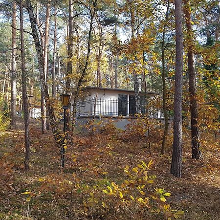 Hausmeise Heidesee Eksteriør billede